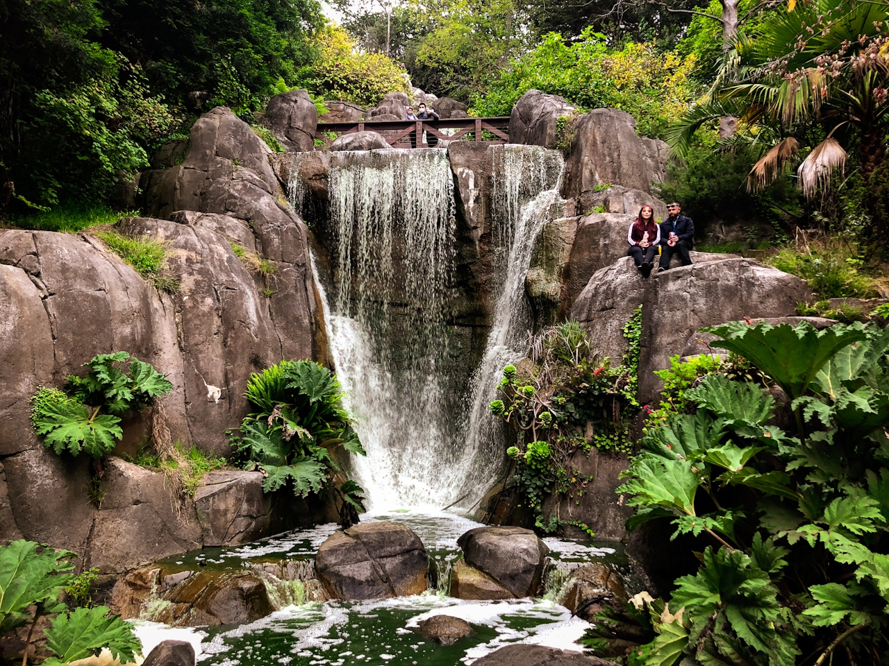 Hunting falls in Golden Gate Park 