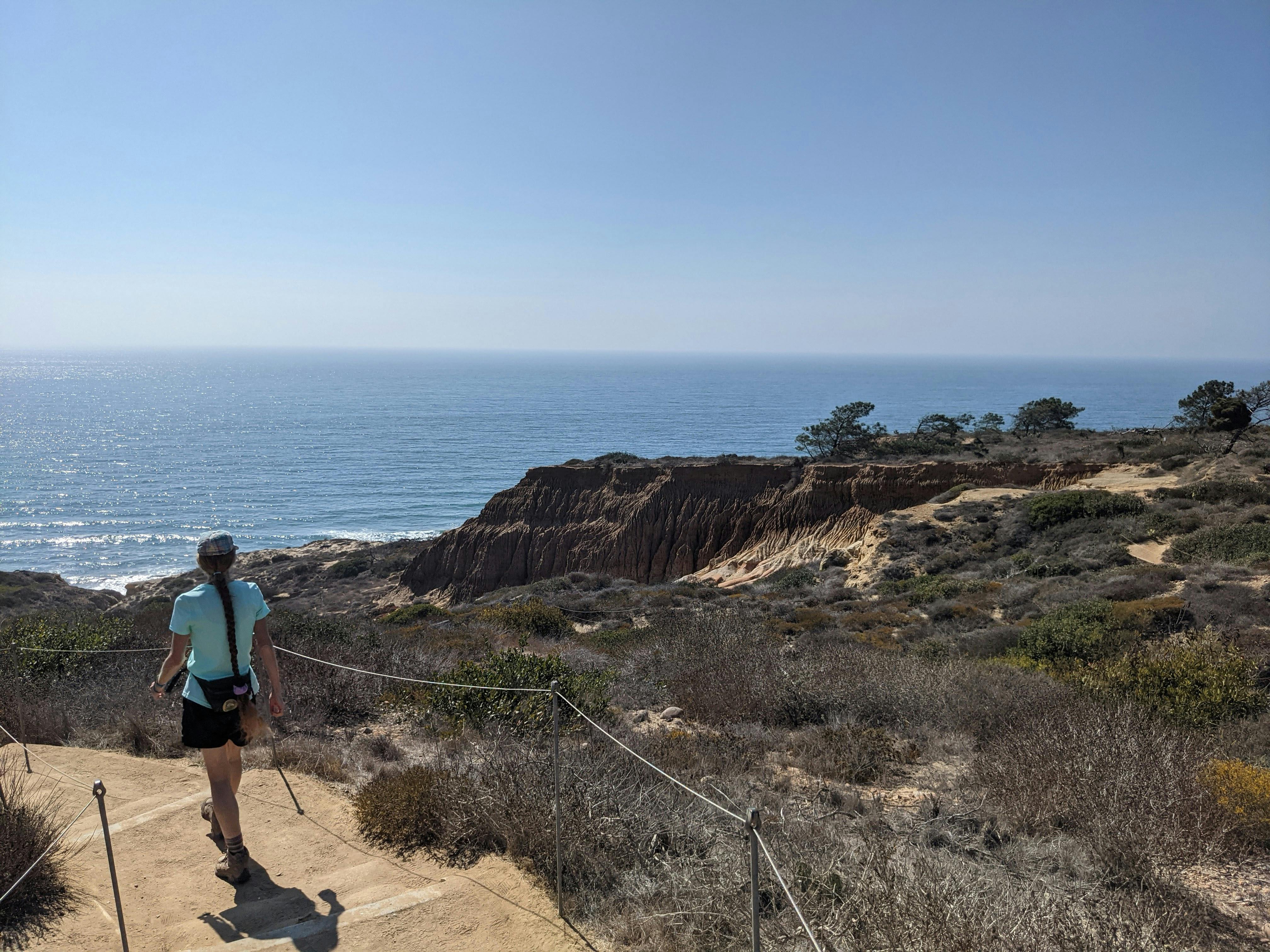 are dogs allowed at torrey pines hike