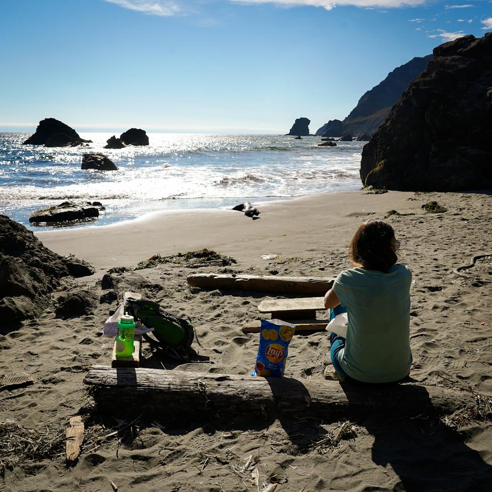 Woman sitting on driftwood and looking out to the ocean at Pirates Cove hike-in beach in the Marin Headlands 