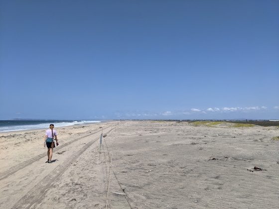 Woman hiking along the vast and open beach at Border Field State Park in Southern California