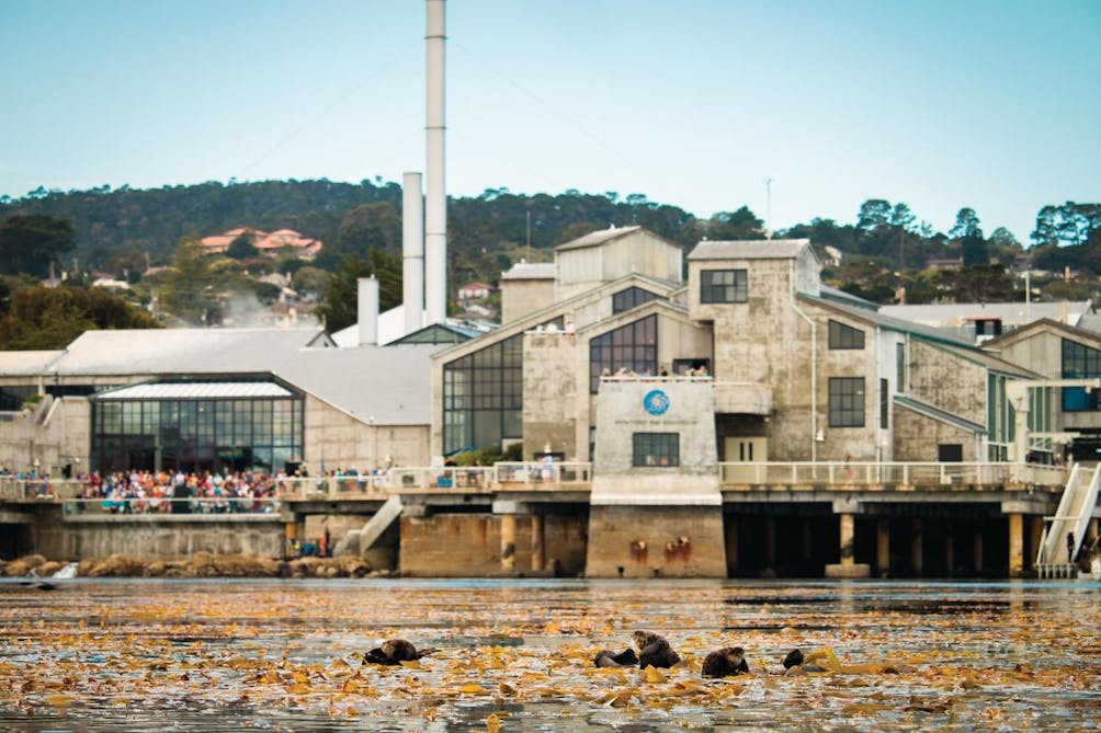 Monterey Bay Aquarium 