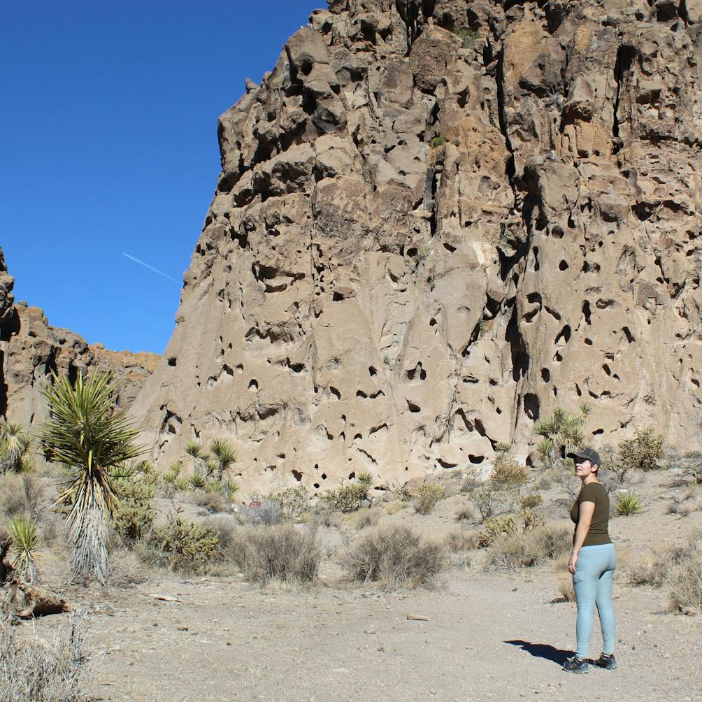 Hiker standing and looking at the holed sand formations at the Mojave Desert 