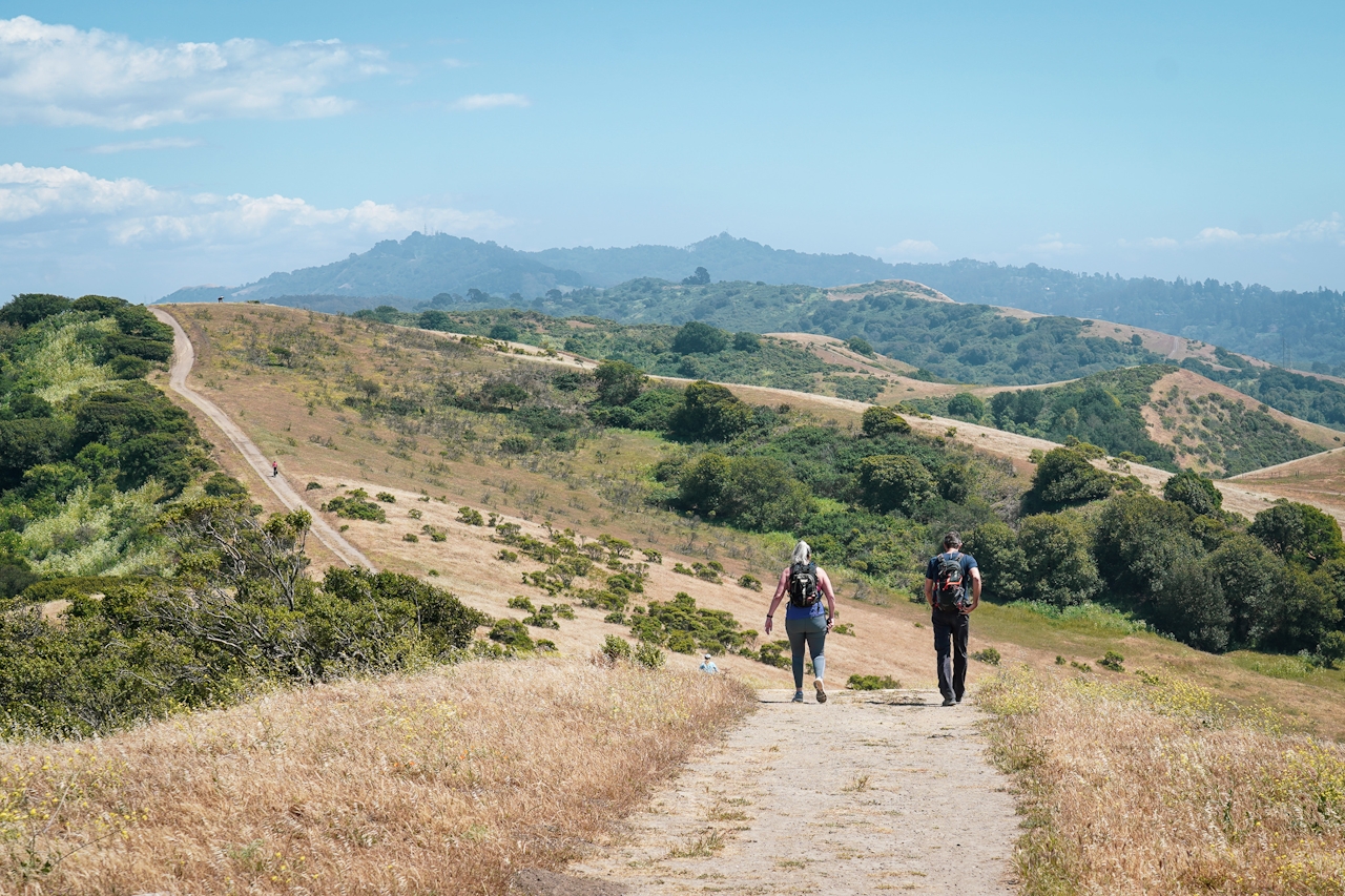 hiking on San Pablo Ridge Trail in Wildcat Canyon