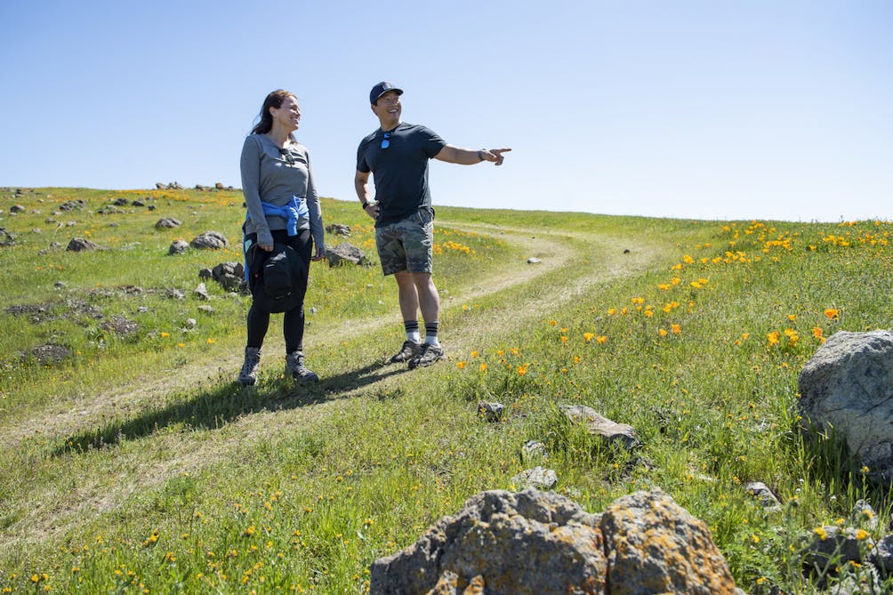 hikers in the wildflowers