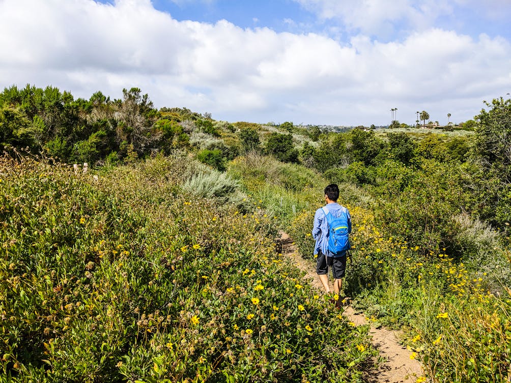 Hiker on a trail at Linden H. Chandler Preserve in Ranchos Palos Verdes 