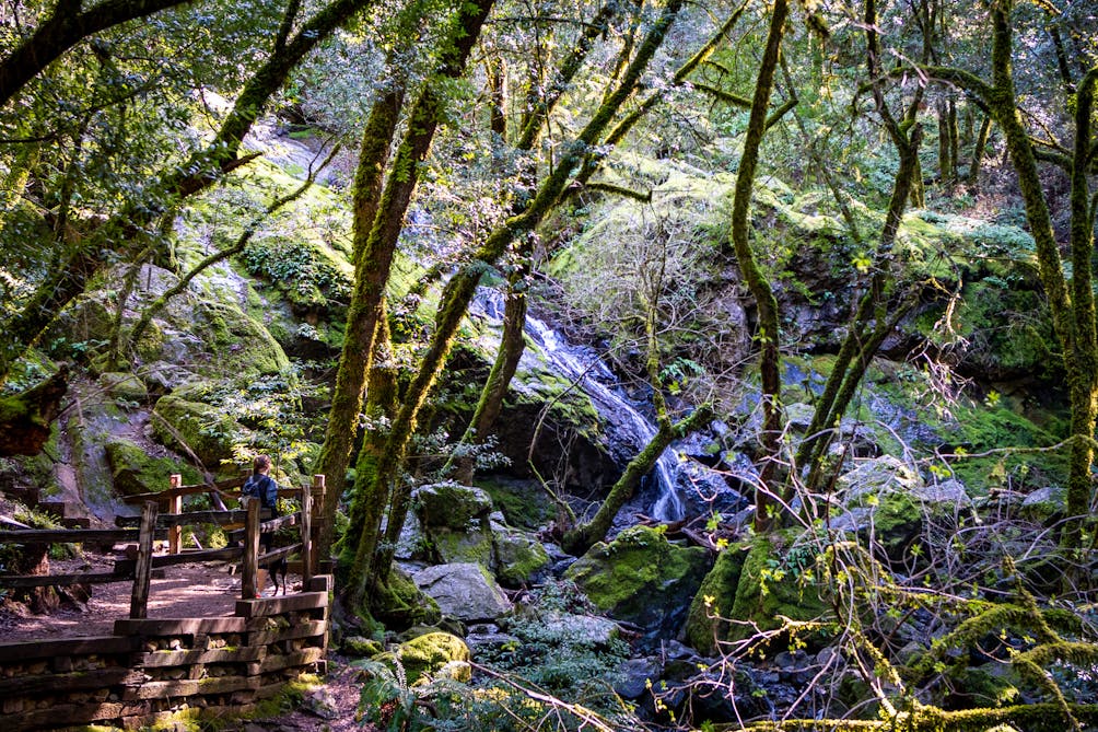 Cataract Falls on Mount Tam