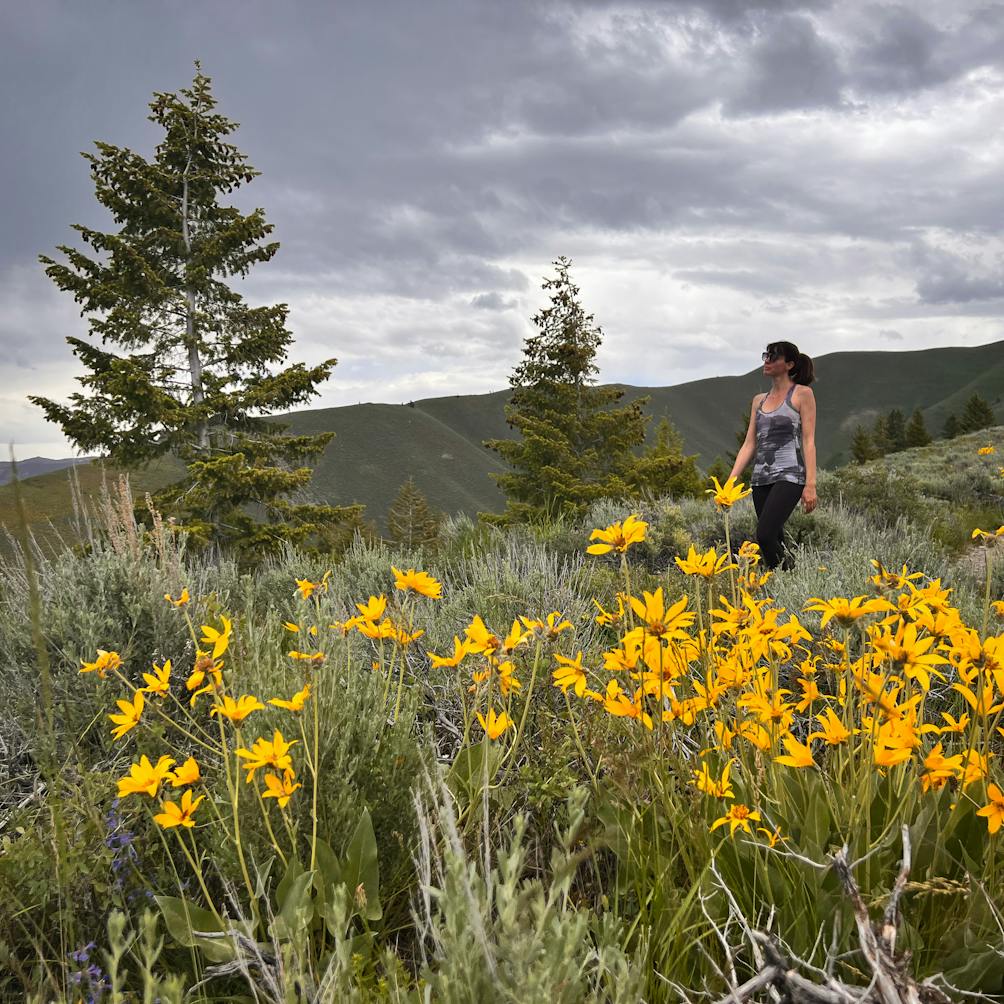 Hiker among wildflowers at Proctor Mountain Trail in Sun Valley 