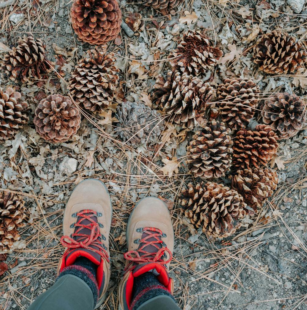 Hikers hiking boots surrounded by pinecones on Gray Peaks Trail in Big Bear Lakes Southern California 