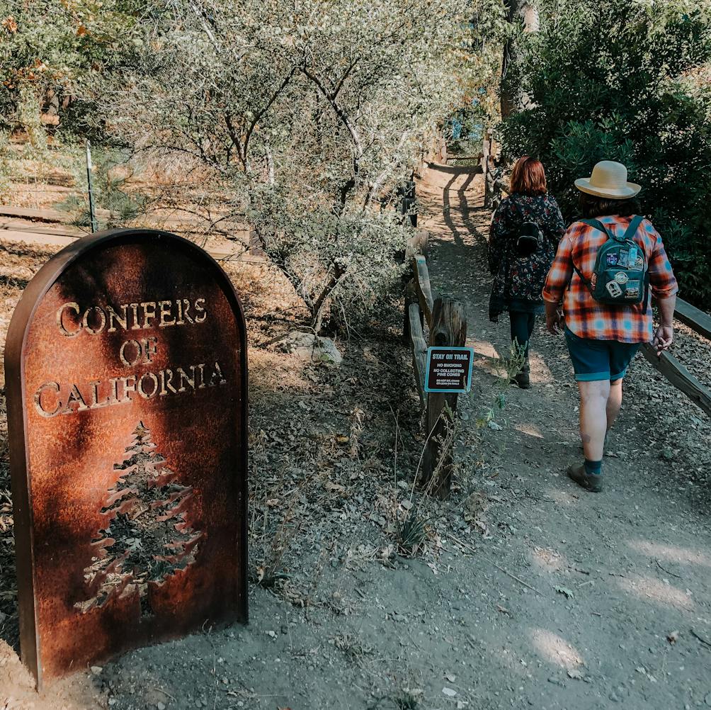 Hiker entering a forested area of Glen Oak Preserve in Glen Oak Inland Empire Southern California 