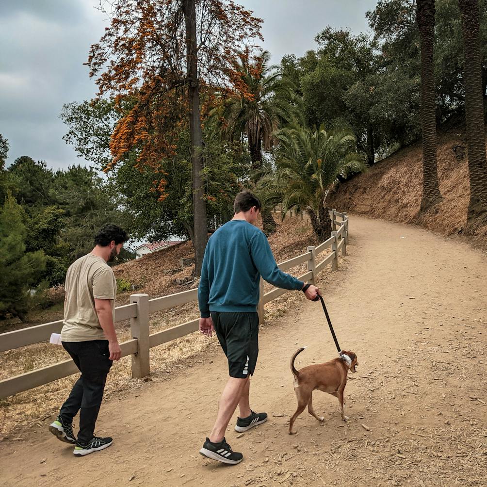 Two hikers and a dog going up a tree lined hill at Runyon Canyon in Los Angeles 