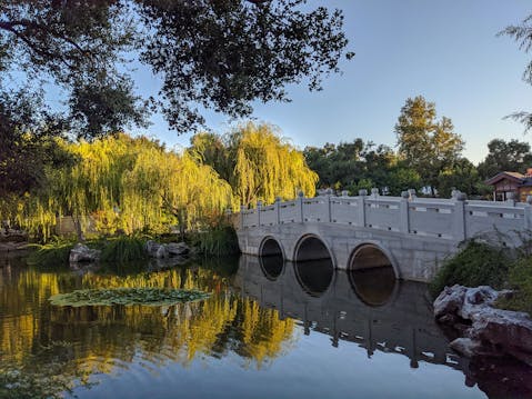 Huntington Library and Botanical Gardens 