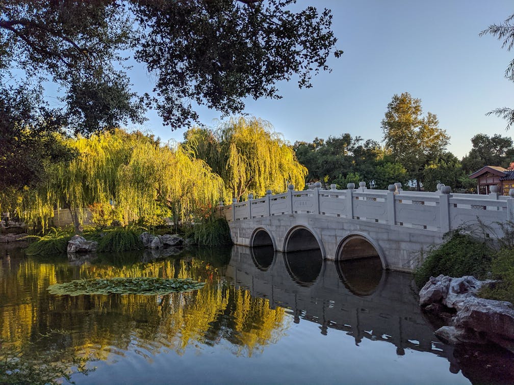 Huntington Library and Botanical Gardens