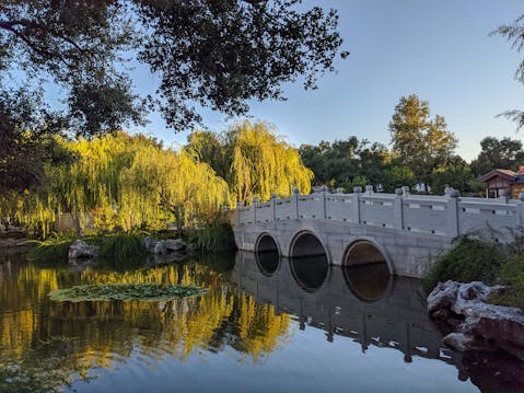 Huntington Library and Botanical Gardens