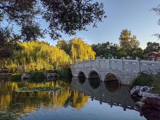 Huntington Library and Botanical Gardens
