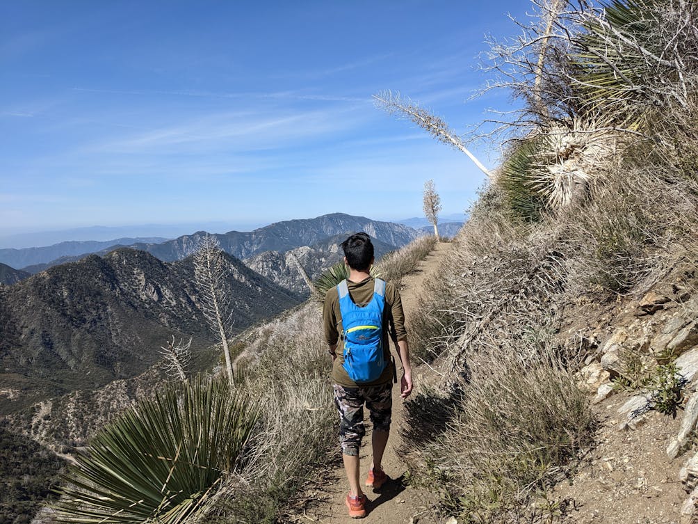 Hiker on a singletrack trail surrounded by the San Gabriel Mountains on the way to Strawberry Peak 