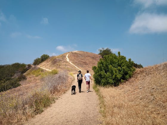 Two hikers and a dog at Upper and Lower Canyonback Trails in Los Angeles County