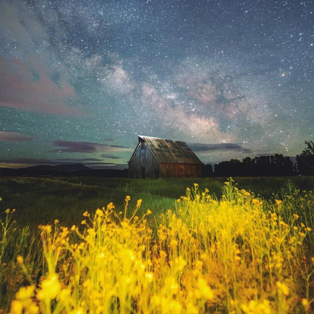 Wildflowers and a barn in Plumas County