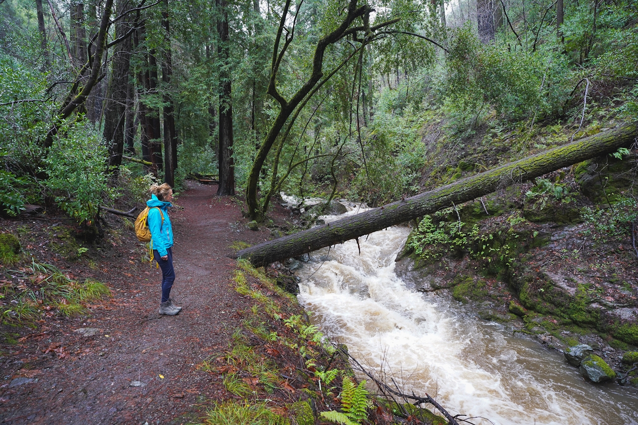 Sugarloaf Ridge State Park Waterfall Hike in Sonoma Valley 