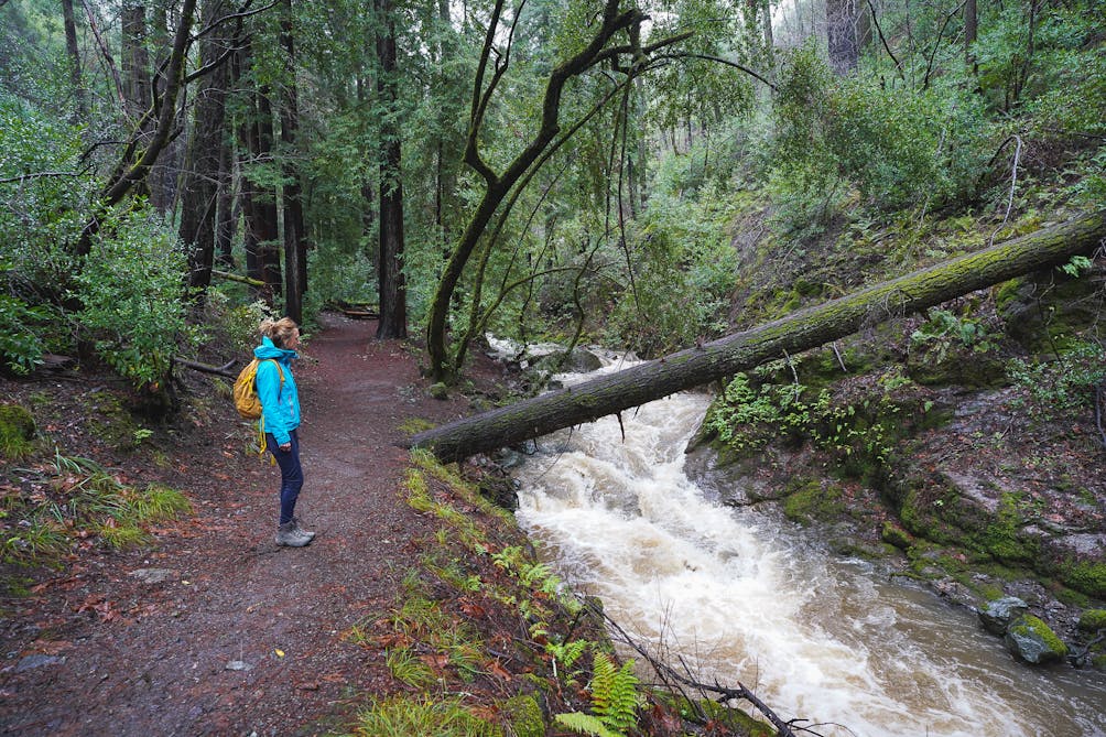 Sugarloaf Ridge State Park Waterfall Hike in Sonoma Valley 