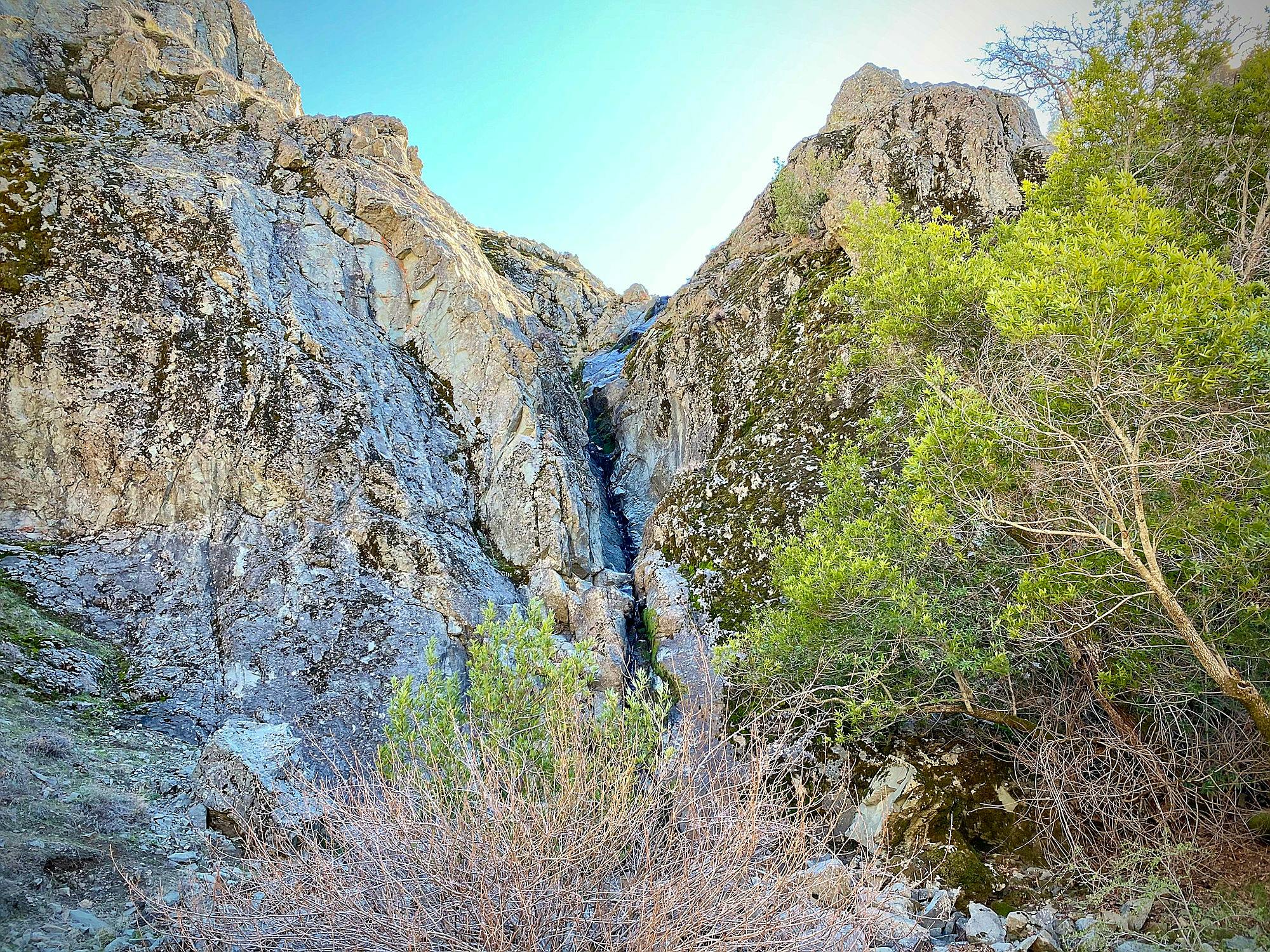 Ohlone Time Weekend Sherpa