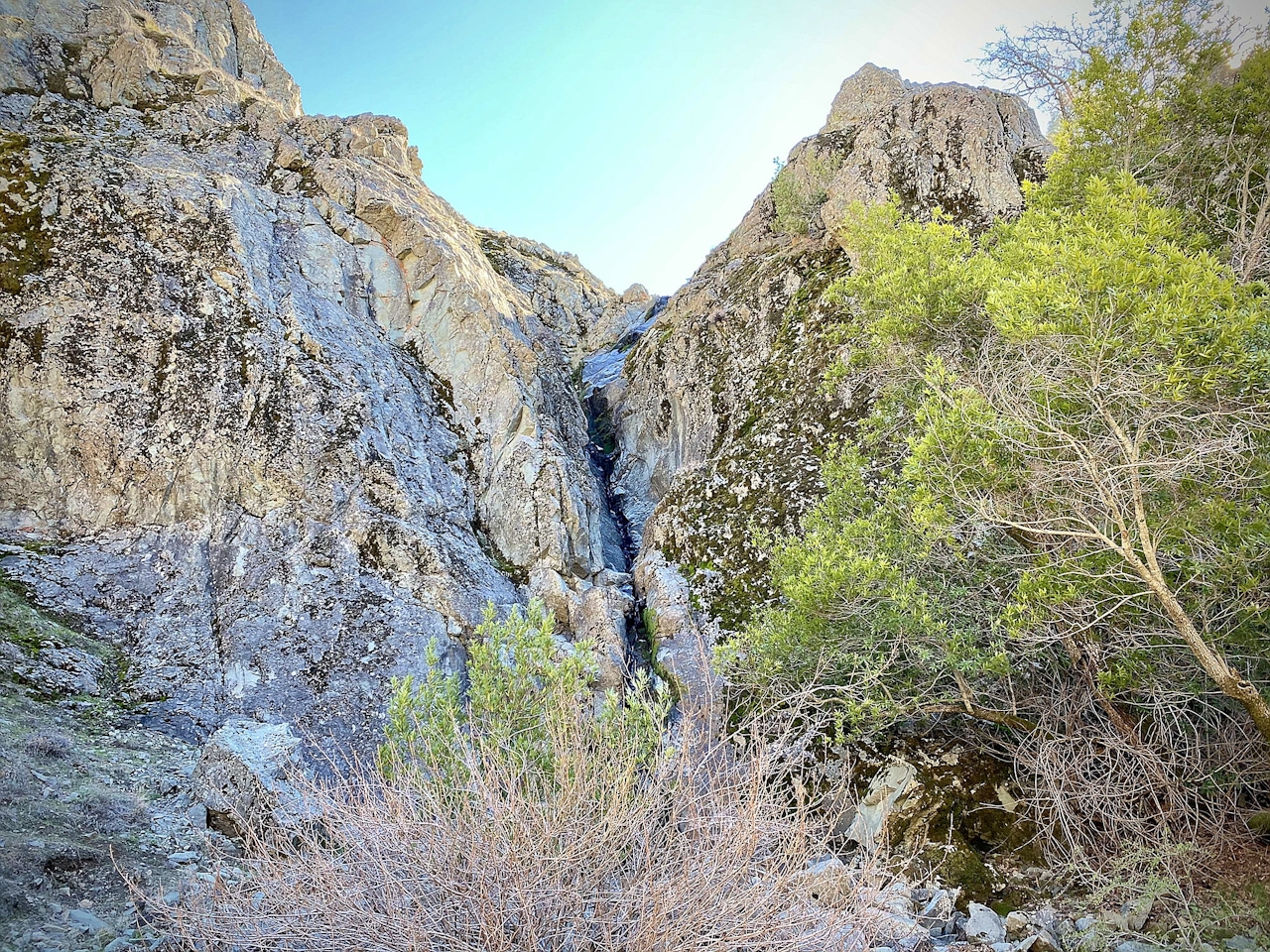 Woman hiking in the Ohlone Wilderness in the East Bay 