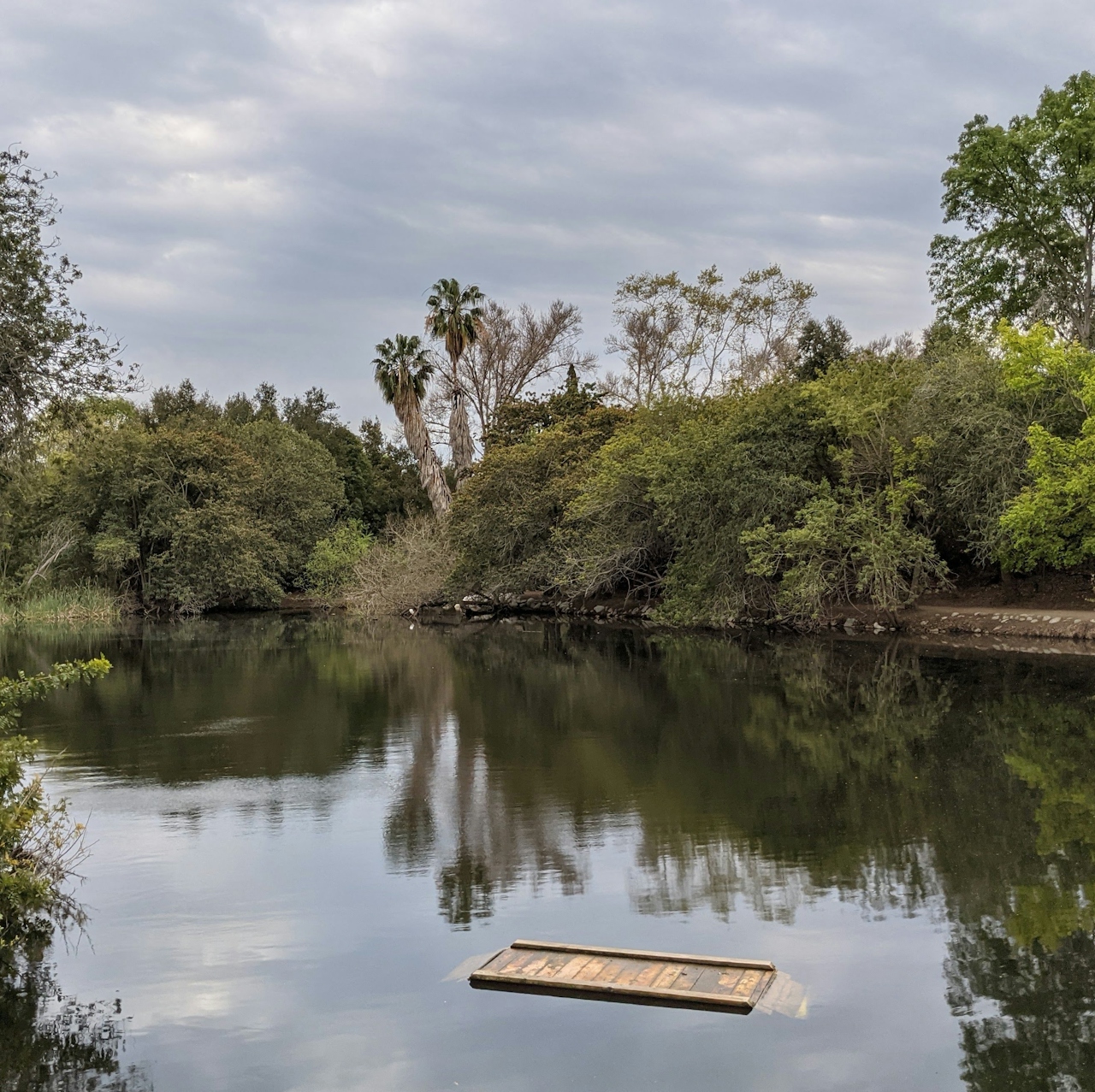 Lake at El Dorado Regional Park in east Long Beach Los Angeles County 