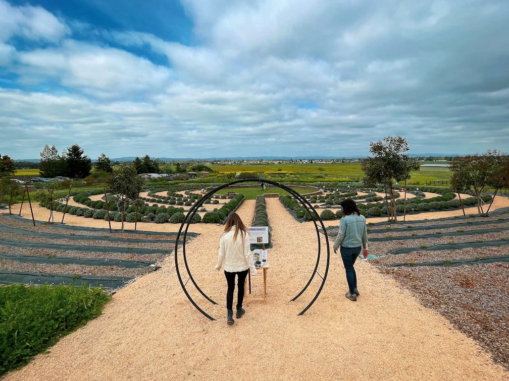 Two women at the entrance of the Lavender Labyrinth at Bees N Blooms in Santa Rosa