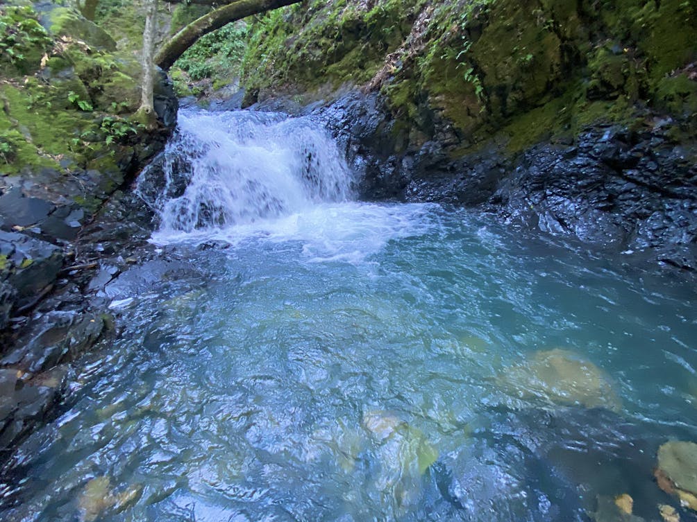 Uvas County Canyon Park