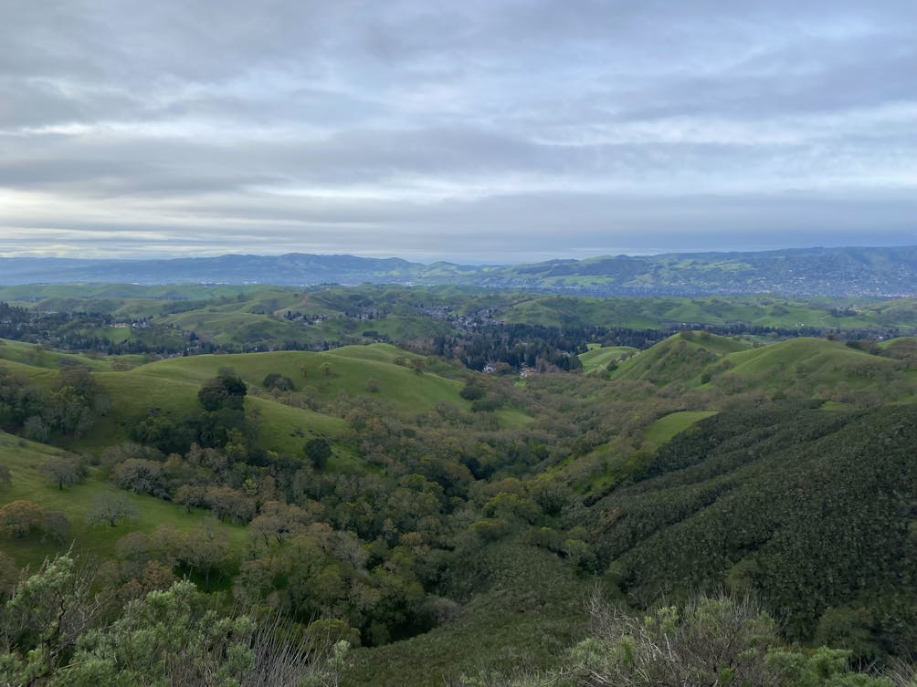 Green rolling hills view of Summit Trail at Mount Diablo State Park 