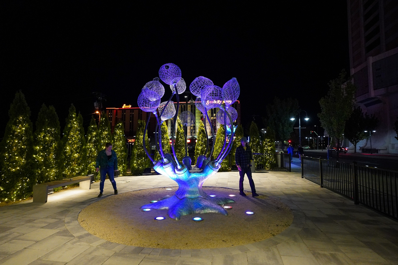 couple looking at Neon Line art Reno