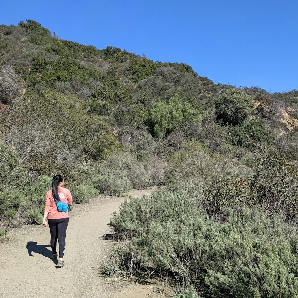 Woman hiking on a trail at Franklin Canyon Park in Los Angeles 