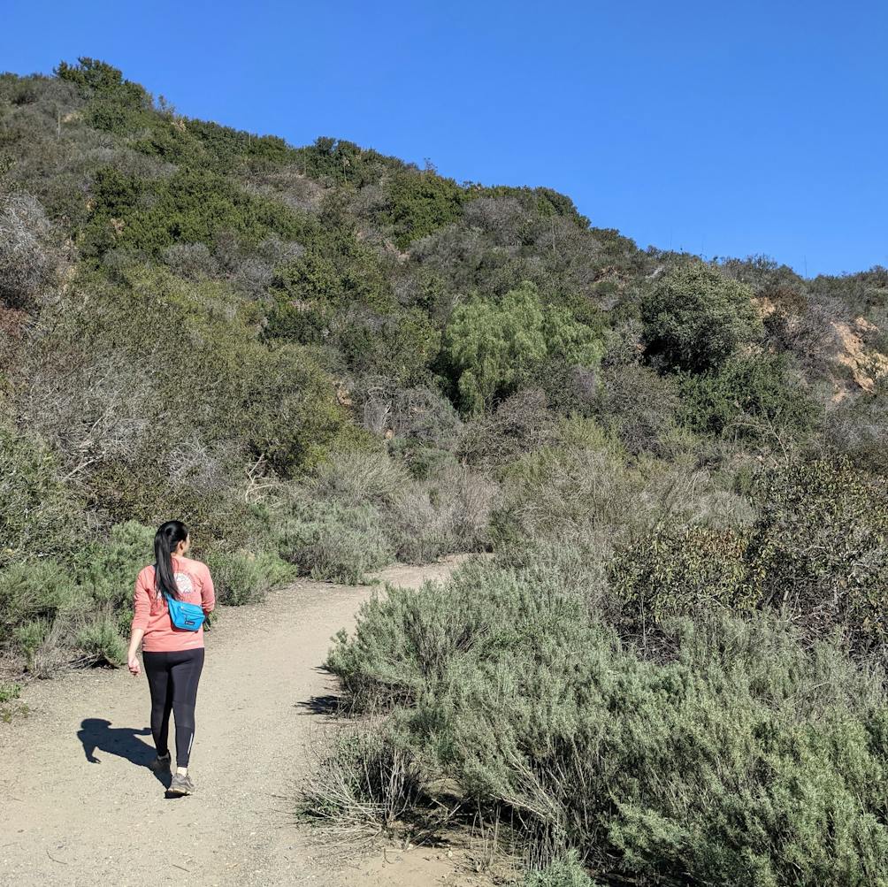 Woman hiking on a trail at Franklin Canyon Park in Los Angeles