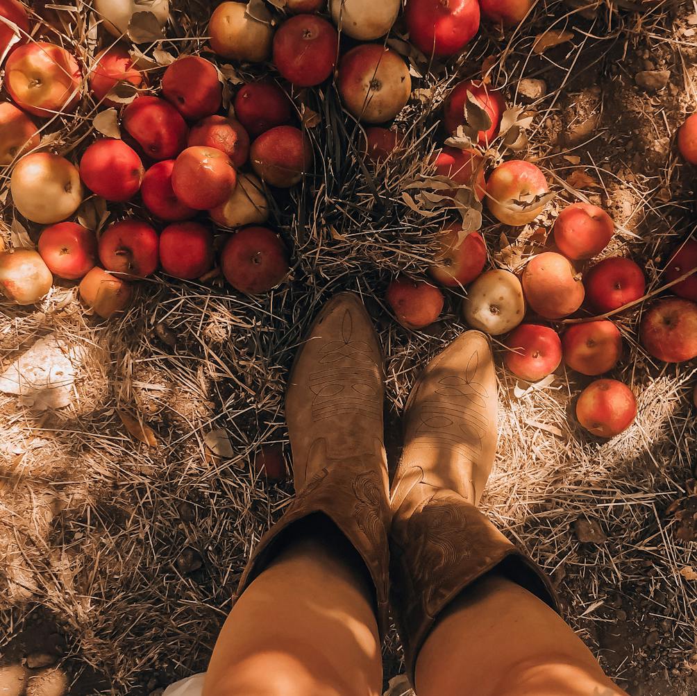 HIkers' boots amid fallen apples on the ground at Oak Glen Preserve near Yucaipa 