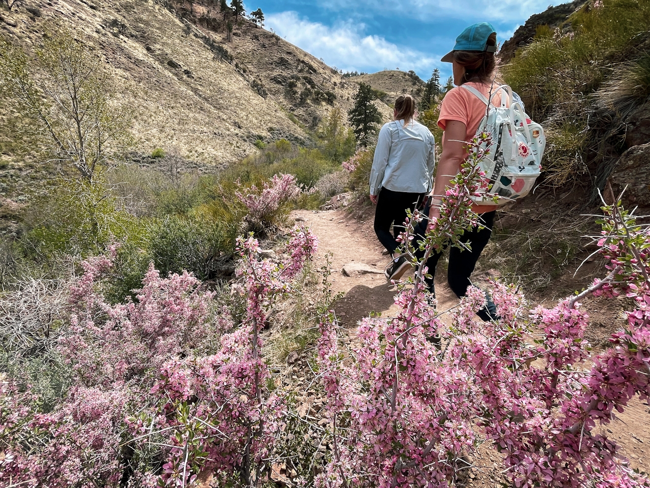 Two Hikers at Hunter Creek Falls 