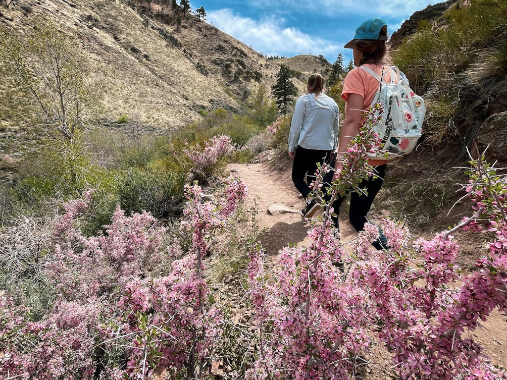 Two Hikers at Hunter Creek Falls 