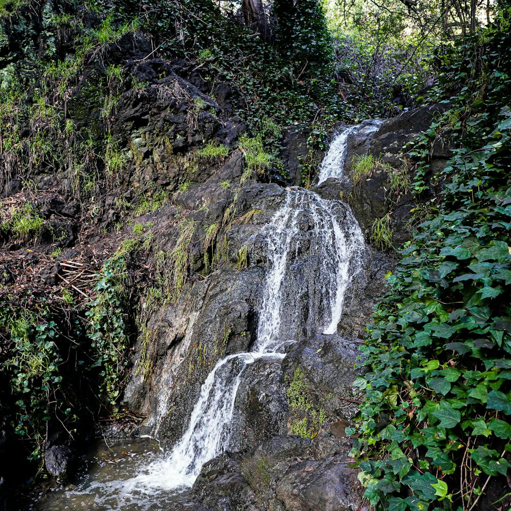 Berkeley's secret backyard waterfall