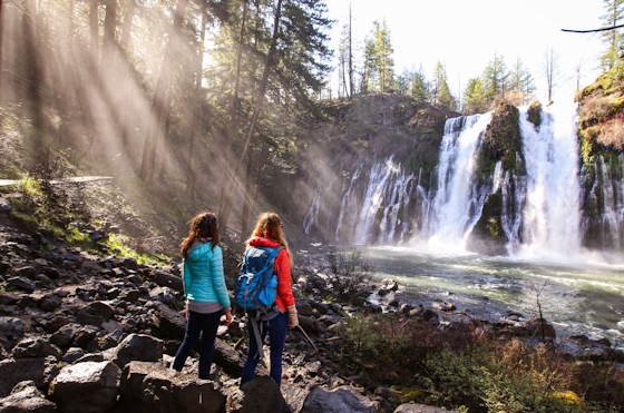 2 people looking at a waterfall in a forest