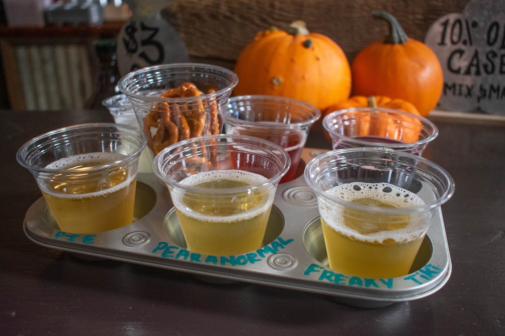 Hard cider samples and pumpkins on a table at Julian Hard Cider in Julian San Diego County
