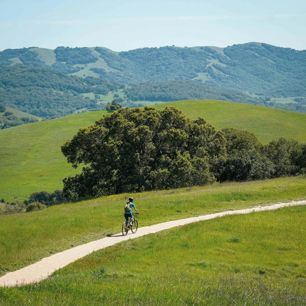 Biker at Helen Putnam Regional Park in Sonoma County 