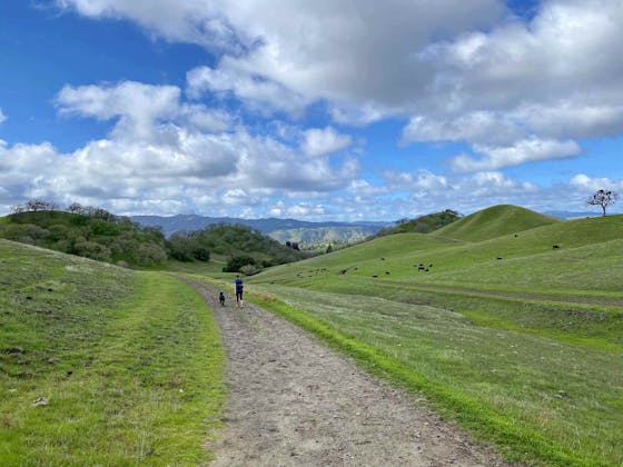 Hiker at Diablo Foothills Regional Park in the East Bay