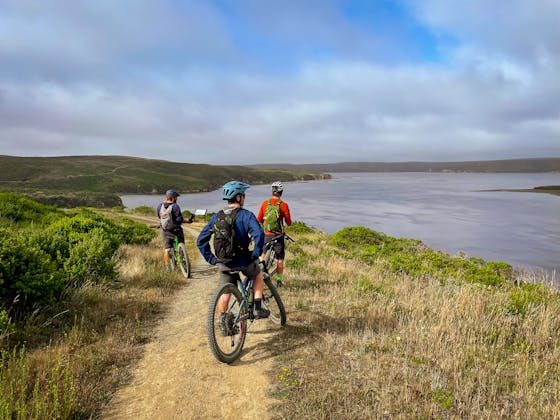 Mountain bikers on Estero Trail to Drakes Head Point Reyes