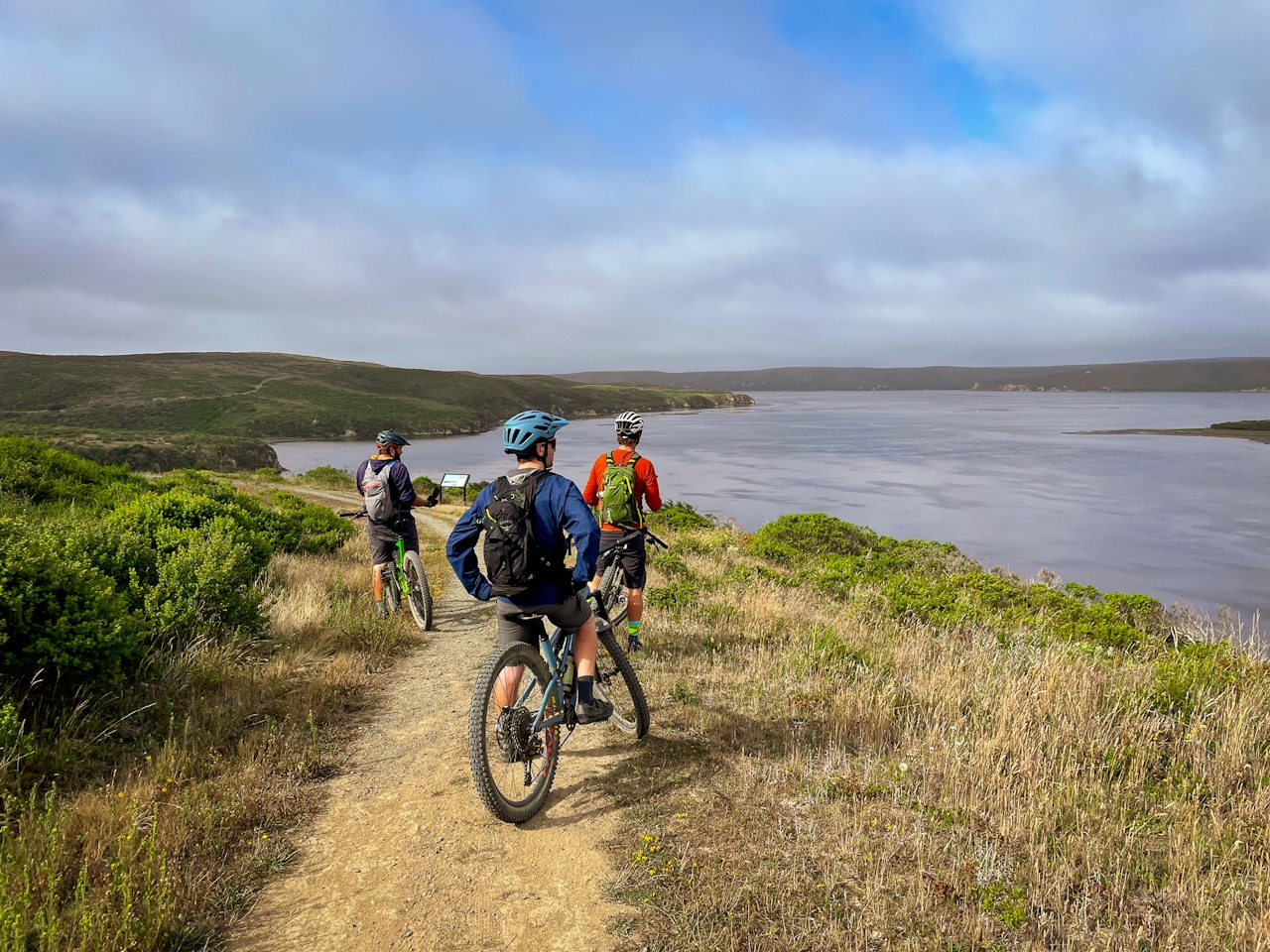 Mountain biker Estero Trail in Point Reyes