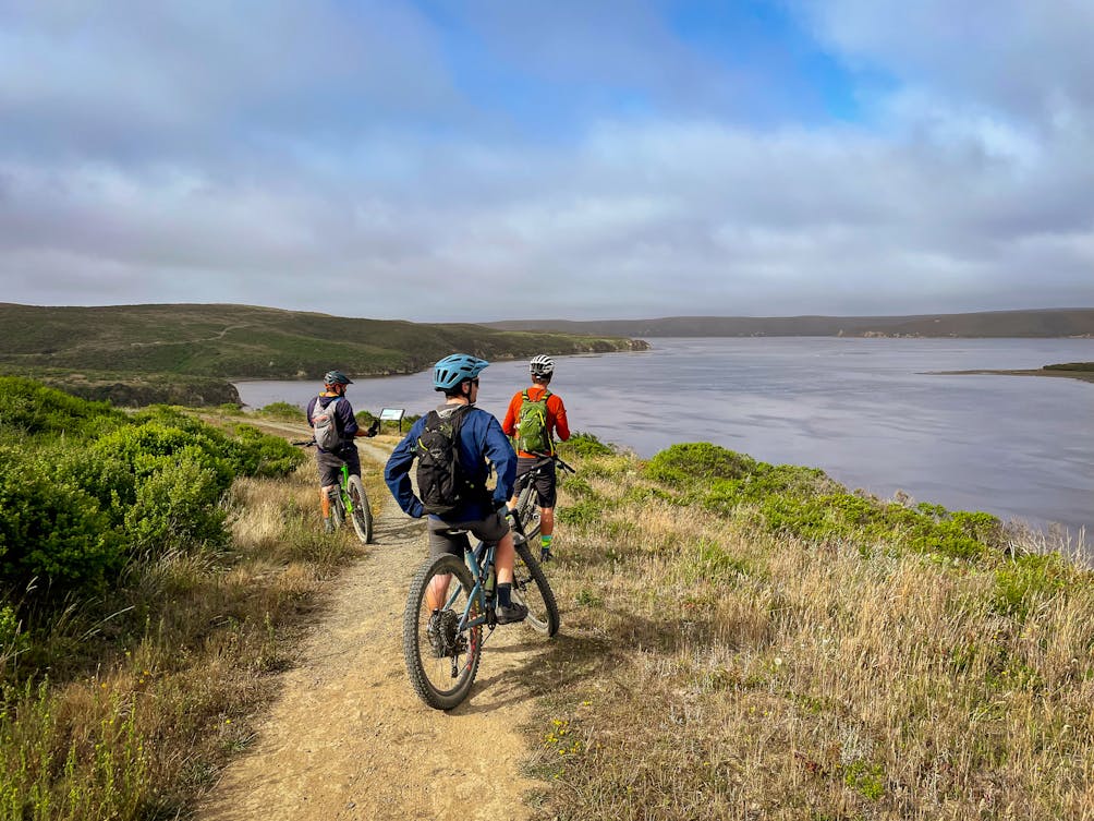 Mountain biker Estero Trail in Point Reyes