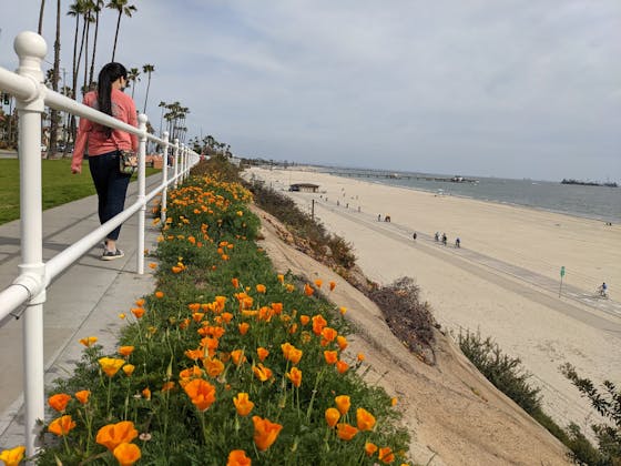 Woman walking at Long Beach in Los Angeles County 