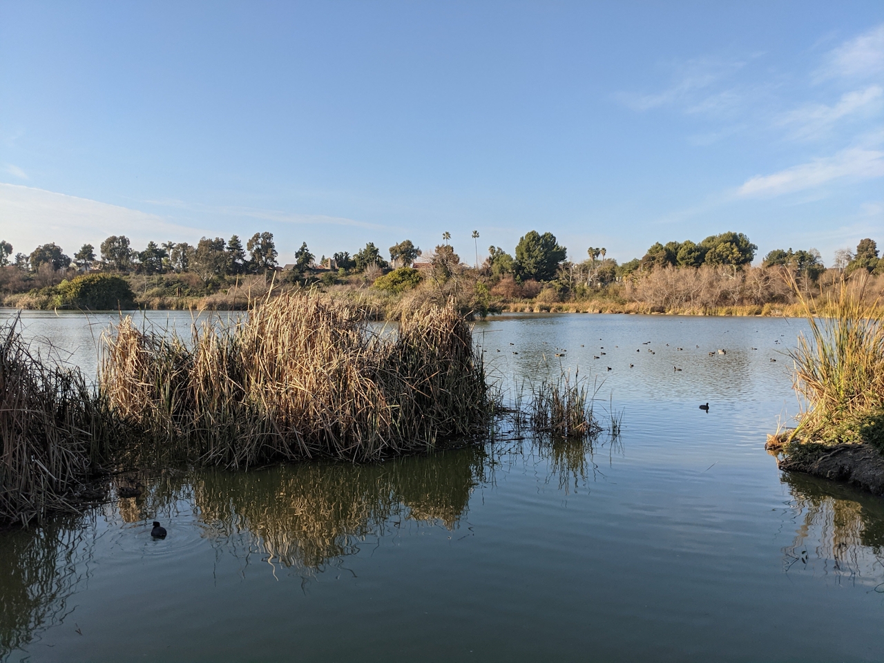 Guajome Lake 