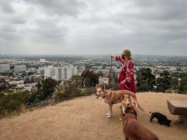 woman hiking to view over LA at Runyon Canyon with dogs