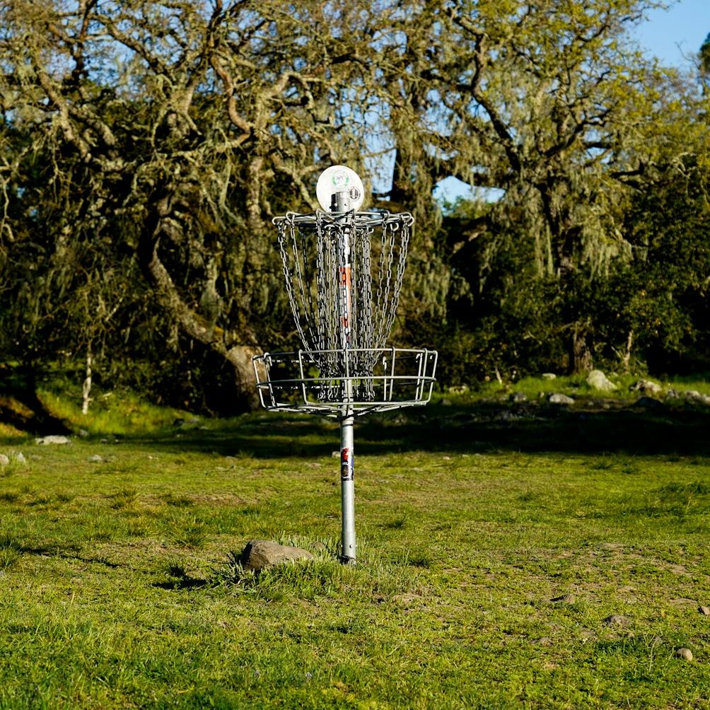 Disc Golf basket at Crane Creek Regional Park in Sonoma County 