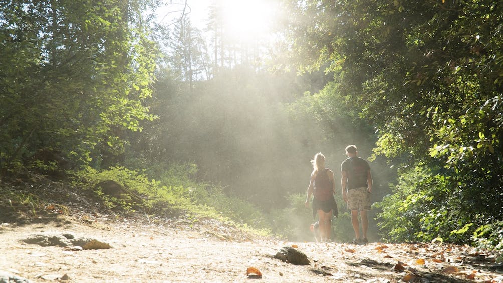 hiking Whiskeytown