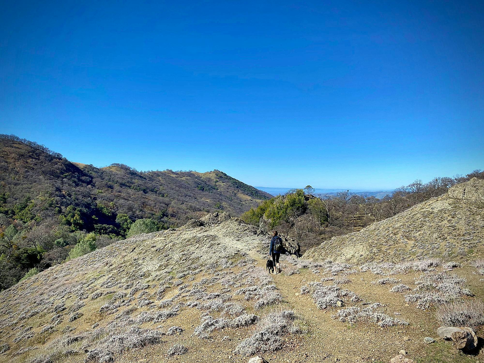 Ohlone Time Weekend Sherpa