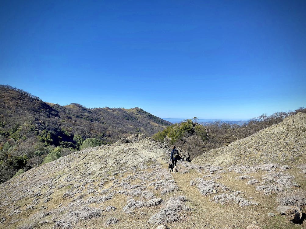 Woman hiking in the Ohlone Wilderness in the East Bay 
